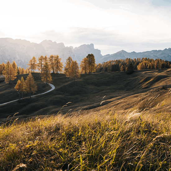 Goldener Herbst