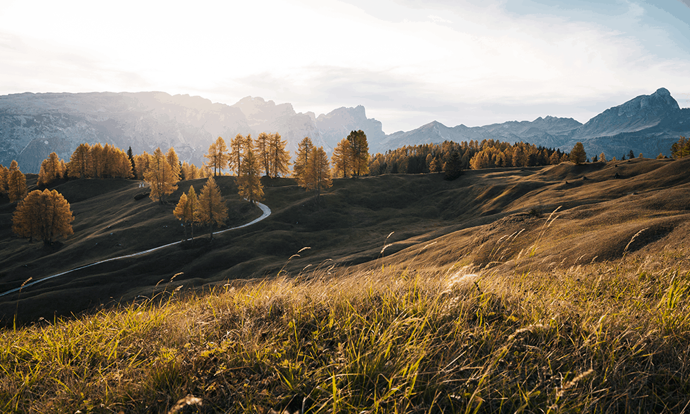 Goldener Herbst